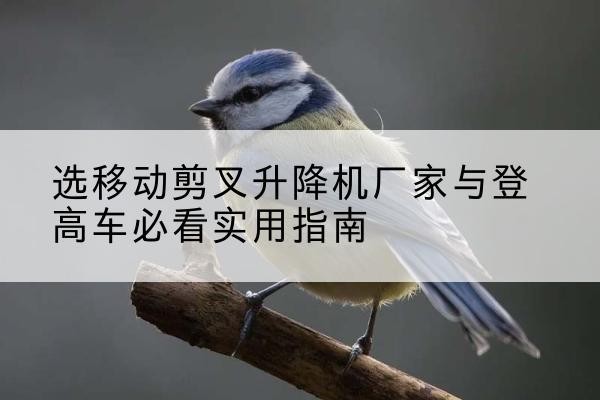 措勤电动升降机厂家-选移动剪叉升降机厂家与登高车必看实用指南