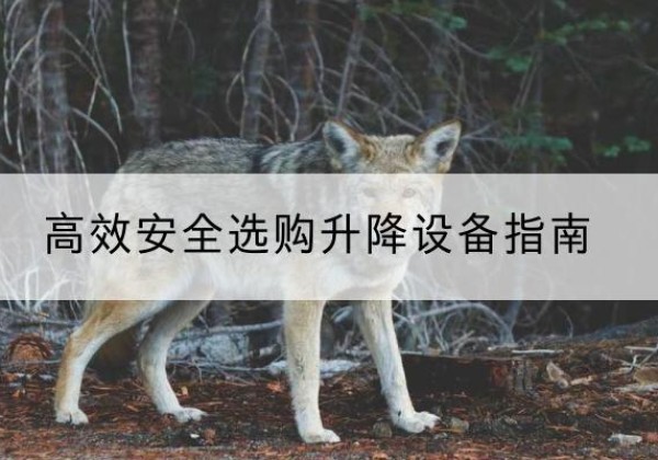 措勤升降货梯厂家推荐-*安全选购升降设备指南